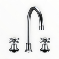 Whitehall CP Hob Sink Set Gooseneck Anti Vndl LF