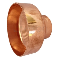 elson DN100-DN50 Concentric Reducing Coupling M&F Capillary SE HP