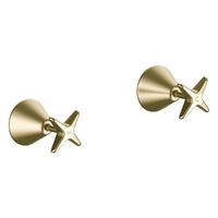 Aurora Star Wall Top Assembly - Jumper Valve Brushed Gold (Lf)