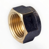 Hexagon Cap Screwed BR 40MM LF