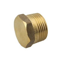 15mm Hexagon Plug Brass 