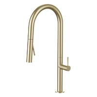 Evolve Vertical Pull Out Spray Mixer Brushed Gold (Lf)