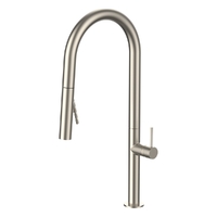 Evolve Vertical Pull Out Spray Mixer Brushed Nickel (Lf)