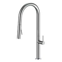 Evolve Vertical Pull Out Spray Mixer Chrome (Lf)