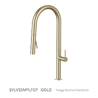 Evolve Vertical Pull Out Spray Mixer Gold (Lf)