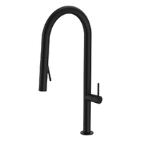 Evolve Vertical Pull Out Spray Mixer Matt Black (Lf)