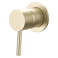 Evolve Wall Mixer - Solid Round Plate Brushed Gold (Lf)