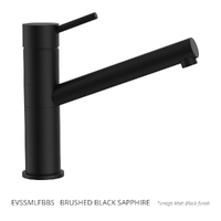 Evolve Sink Mixer - 4 Star Brushed Black Sapphire (Lf)