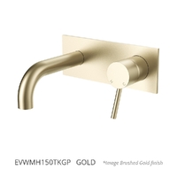 Evolve Horizontal Wall Set - Bath - 150Mm Outlet Gold Trim Kit