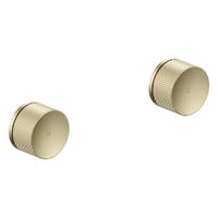 Flute Wall Top Assembly - 1/4 Turn Ceramic - 4 Star - Brushed Gold (Lf)