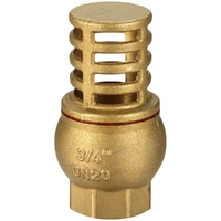 Foot Valve Brass 65MM