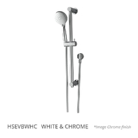Evolve 3 Function Hand Shower On Brass Rail - Adj Centres - 3 Star - White Chrome