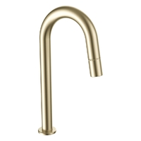 Max Tall Hob Outlet - Bath Brushed Gold