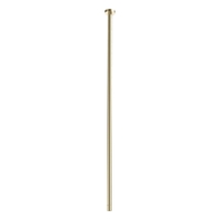 Max Ceiling Mount Outlet - Bath Brushed Gold