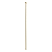 Max Ceiling Mount Outlet - Bath Brushed Gold Trim Kit