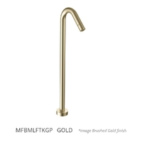 Max Floor Mount Outlet - Basin Gold Trim Kit Trim Kit (Lf)