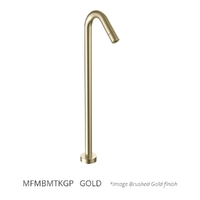 Max Floor Mount Outlet - Bath Gold Trim Kit