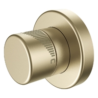 Max Wall Mixer Brushed Gold Trim Kit (Lf)