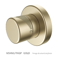 Max Wall Mixer Gold Trim Kit (Lf)