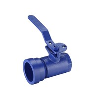 25mm Ball Valve Mine SG Iron FI X Shoulder 