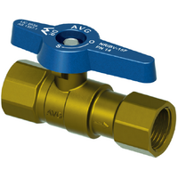20mm F X F Non Return Isolation Ball Valve