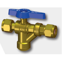 15mm CXC Non-Return Isolating Valves With Strainer