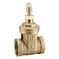 Gate Valve Brass Watermarked with Key Cap