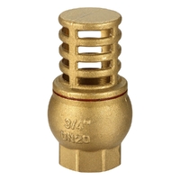 Non-Return Valve Foot Valves Brass