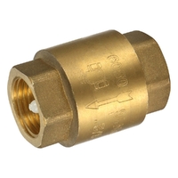 Non-Return Valve Spring Check Valve General Purpose Brass