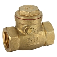 Non-Return Valve Swing Check Valve General Purpose Brass