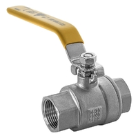 Ball Valve 316 Stainless Steel 2 Piece Lever Handle FI x FI Gas