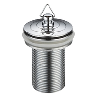 Plug & Waste Brass Plug