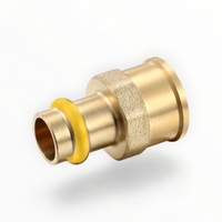 DN80 X 3FI Female Coupling Gas Press