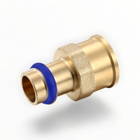 DN80 X 3FI Female Coupling Water Press