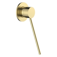 Park Care Wall Mixer - Brushed Gold (Lf)