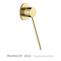 Park Care Wall Mixer - Gold (Lf)