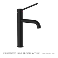 Park Care Sink Mixer - Pillar Style - 4 Star Brushed Black Sapphire (Lf)