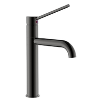Park Care Sink Mixer - Pillar Style - 4 Star Gunmetal (Lf)