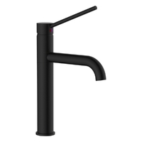 Park Care Sink Mixer - Pillar Style - 4 Star Matt Black (Lf)