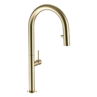 Park Vertical Pull Out Spray Mixer Brushed Gold (Lf)