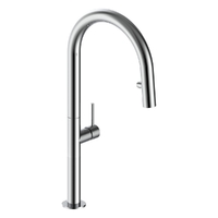 Park Vertical Pull Out Spray Mixer Chrome (Lf)