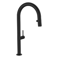 Park Vertical Pull Out Spray Mixer Matt Black (Lf)