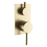 Park Rotary Diverter Wall Mixer - Solid Rectangular Plate Brushed Gold Trim Kit