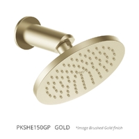 Aviad Wall Mount Shower - 150Mm Head
 Gold