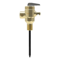 Pressure and Temperature Relief Valve | 1000kPa | 15mm | PM