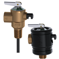 15mm (1/2") P & T Relief Valve - With Ext Probe