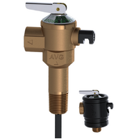 15mm (1/2") P & T Relief Valve - With 1" Extension