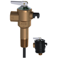 15mm 1400kPa P & T Relief Valve - With 1Inch Extension AVG