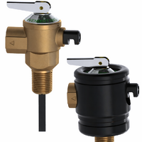 15mm 1000kPa Pressure Temperature Relief Valve 