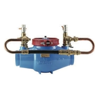 Single Detector Check Valve Cast Iron 80X25 No Meter Table E Lead Free Watts 80 mm (3")